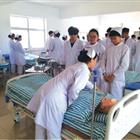 开云体育中国官方入口网站查询

