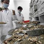 开云app下载手机版官方网站
